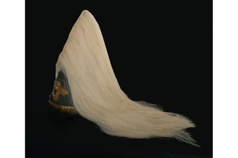 Heller Paradebusch fr Tschakos RSP206